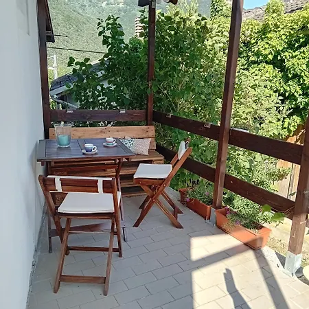 Scola Veja